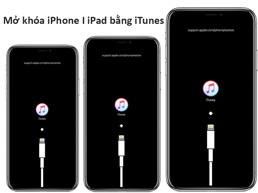Mở khóa iPad, mở khóa iPhone bằng iTunes