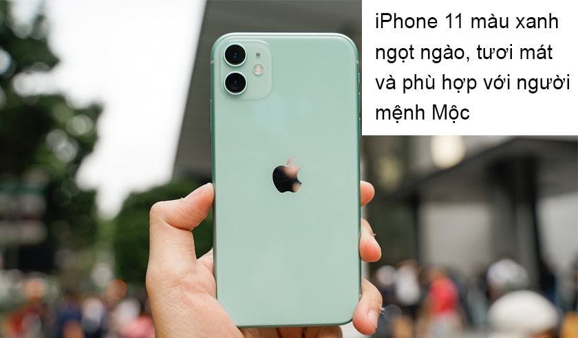 iPhone 11 màu xanh ngọc