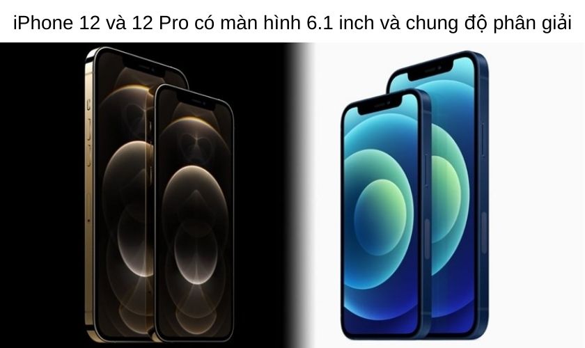 So sánh màn hình iPhone 12 và iPhone 12 Pro