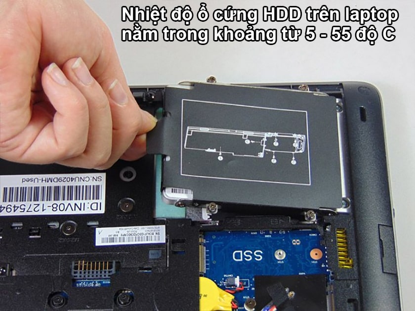 Nhiều hãng đã chỉ định ra rằng ổ cứng HDD chỉ nằm trong khoảng từ 5 - 55 độ C
