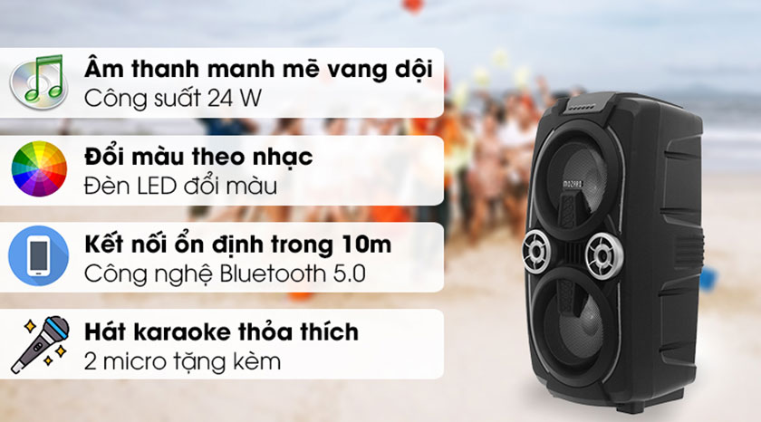 Loa bluetooth hát karaoke sở hữu nhiều tính năng