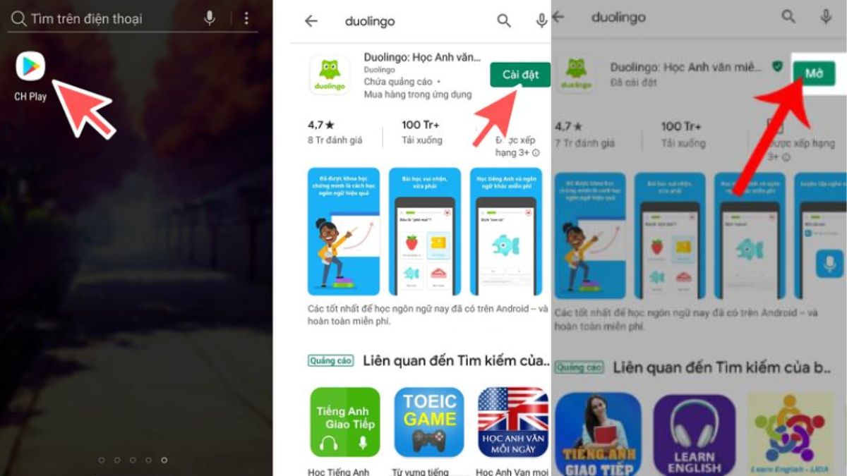 Tham khảo cách tải Duolingo trên điện thoại