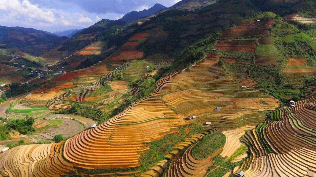 Top 10 cảnh đẹp thiên nhiên Việt Nam hoang sơ, hùng vĩ