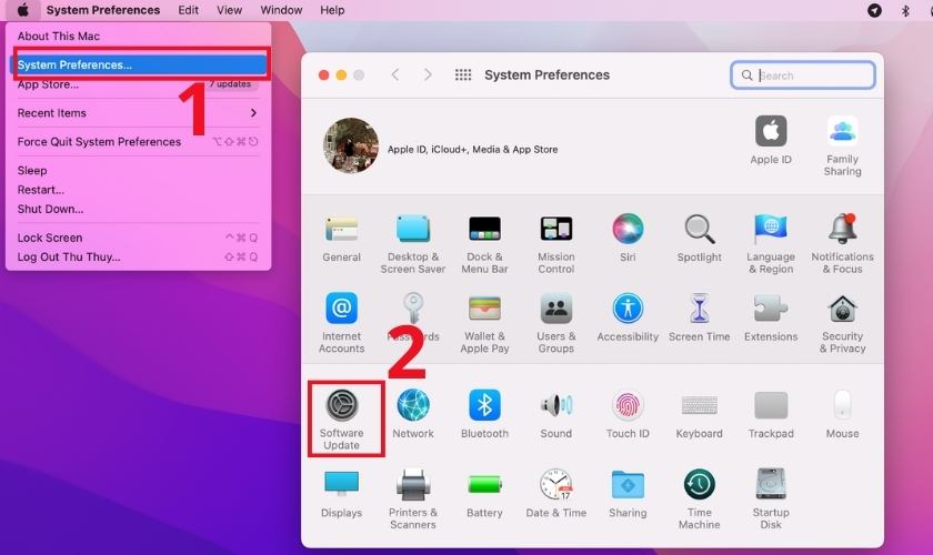 Chọn tab Software Update trong System Preferences